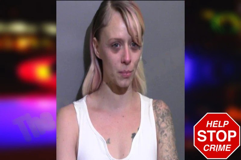 Jessica Williamson Mugshots
