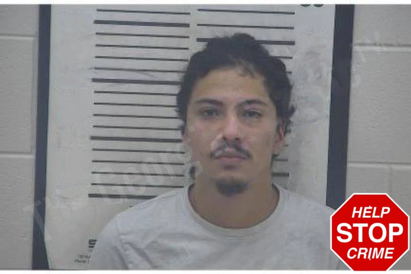 Jesus Vergara Mugshots