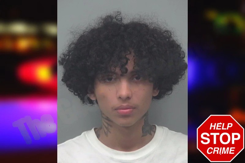 Jholver Pabola Mugshots