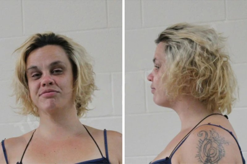 Jilian Scott Mugshots