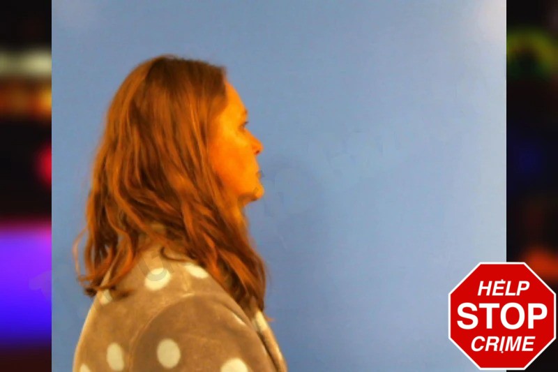 Jill Hodsdon Mugshots