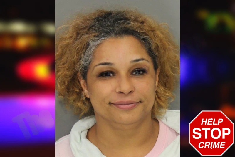 Joana Rodriguez mugshot – Cobb County , Georgia Joana Rodriguez mugshot