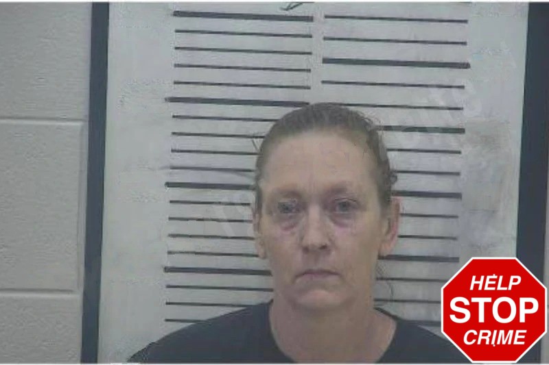 Joanie Zarraga mugshot