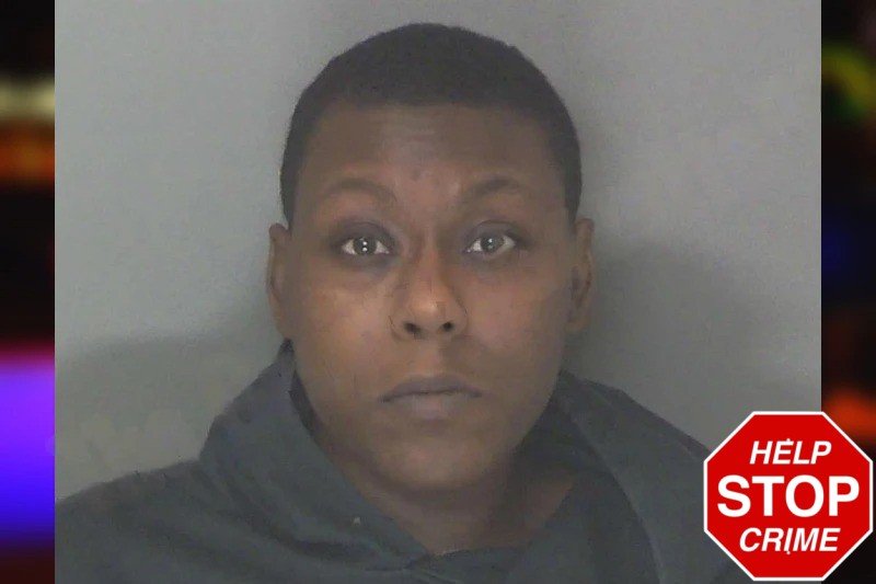 Jocelyn Hines mugshot