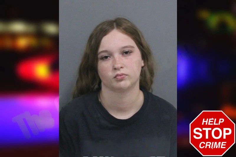 Jocelyn James mugshot