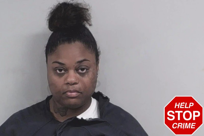 Jocelyn Powell Mugshots