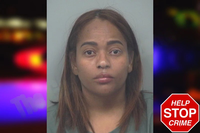 Johanna Alcantara Checo mugshot