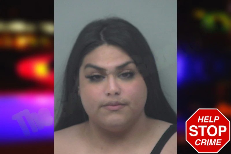Johanna Ramirez mugshot