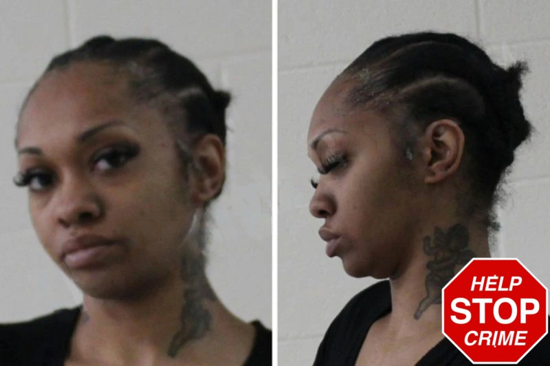 John’Neshiyah Sherman mugshot – Houston County , Georgia John’Neshiyah Sherman mugshot