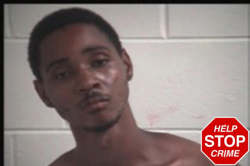 Johnathan Hollowell mugshot