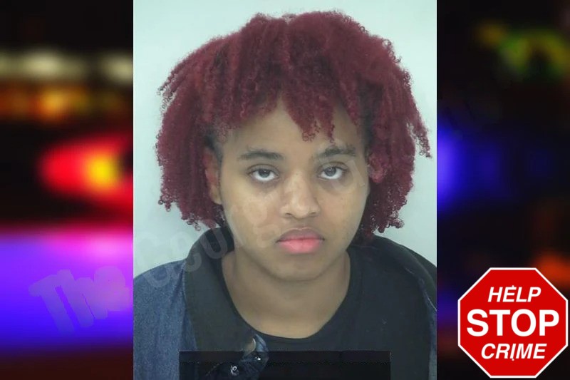 Johnia Wilkins mugshot – Fayette County , Georgia Johnia Wilkins mugshot