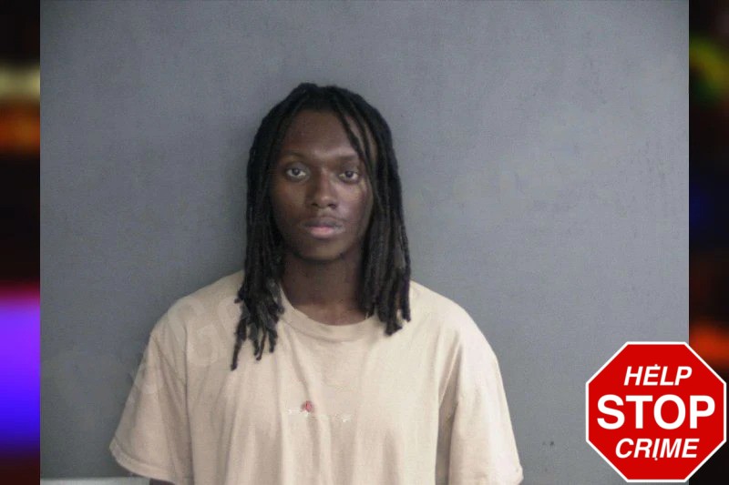 Johnny Johnson mugshot – Twiggs County , Georgia Johnny Johnson mugshot