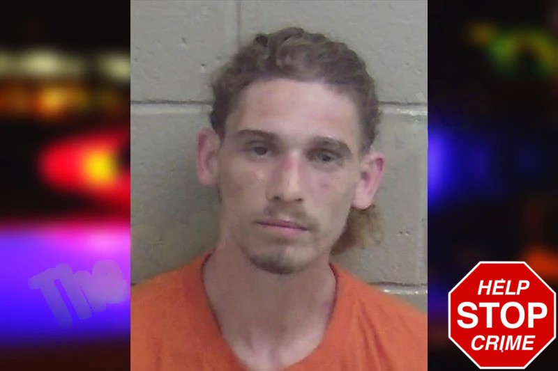 Johnny Wilson Mugshots