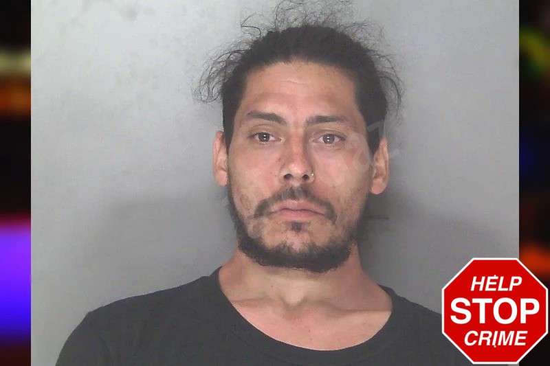 Jonathan Fontanes Mugshots