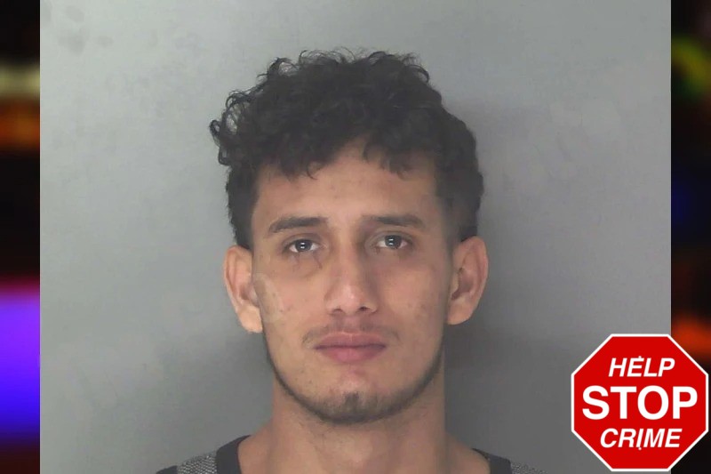 Jonathan Vargas Pineda Mugshots