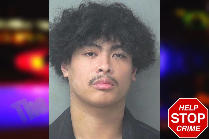 Jordan Chung Mugshots