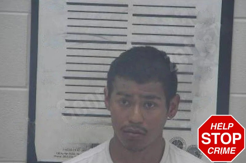 Jorge Harreld Mugshots