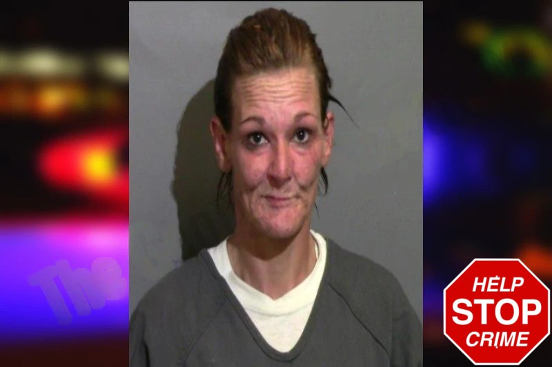 Jorja Falagan Mugshots