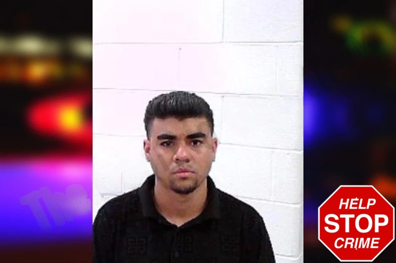 Jose Calderon mugshot