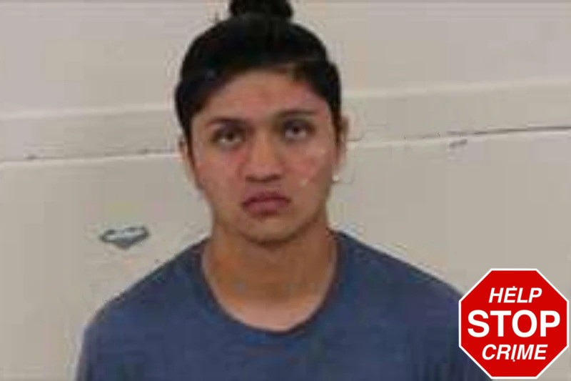 Jose Perez-Villatoro Mugshots