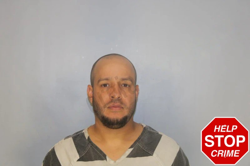 Jose Rodriguez-Villarroel Mugshots