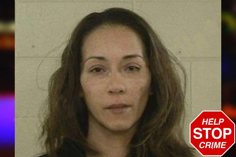 Joselyn Domenech Mugshots