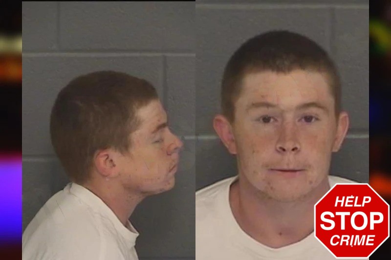 Joseph Williams Mugshots