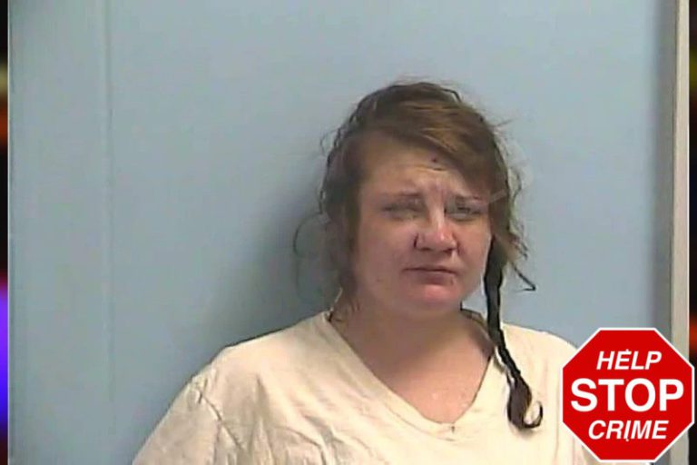 Josephine Thibodeau mugshot – Dawson County , Georgia Josephine Thibodeau