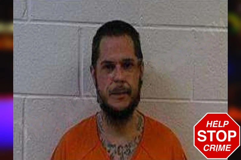 Joshua Bollen Mugshots