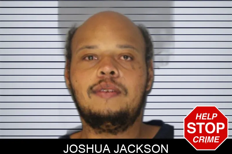 Joshua Jackson Mugshots