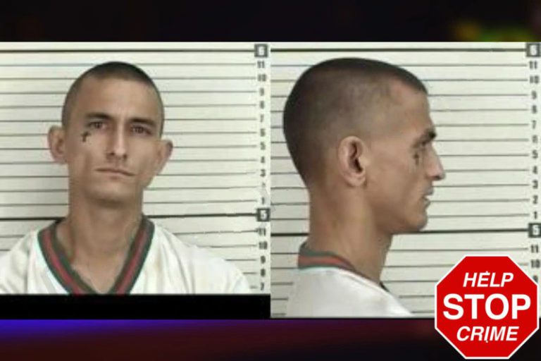 Joshua James mugshot – Camden County , Georgia Joshua James