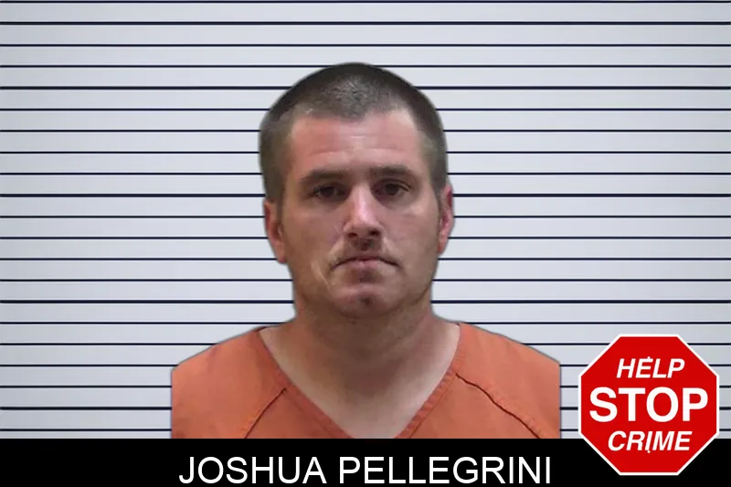 Joshua Pellegrini Mugshots