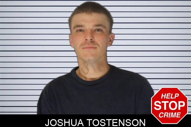 Joshua Tostenson Mugshots