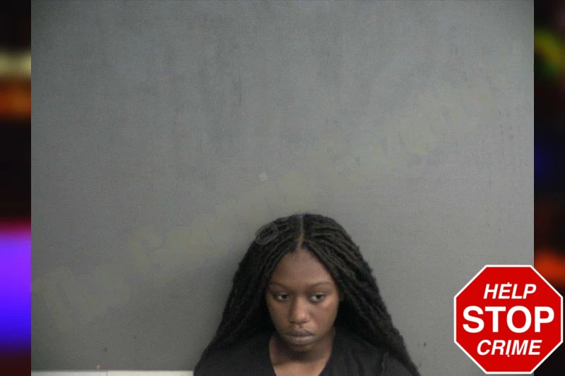 Journi Snell mugshot