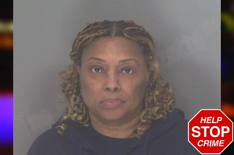 Joy Caines mugshot