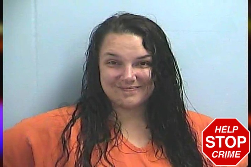 Joy Mann Mugshots