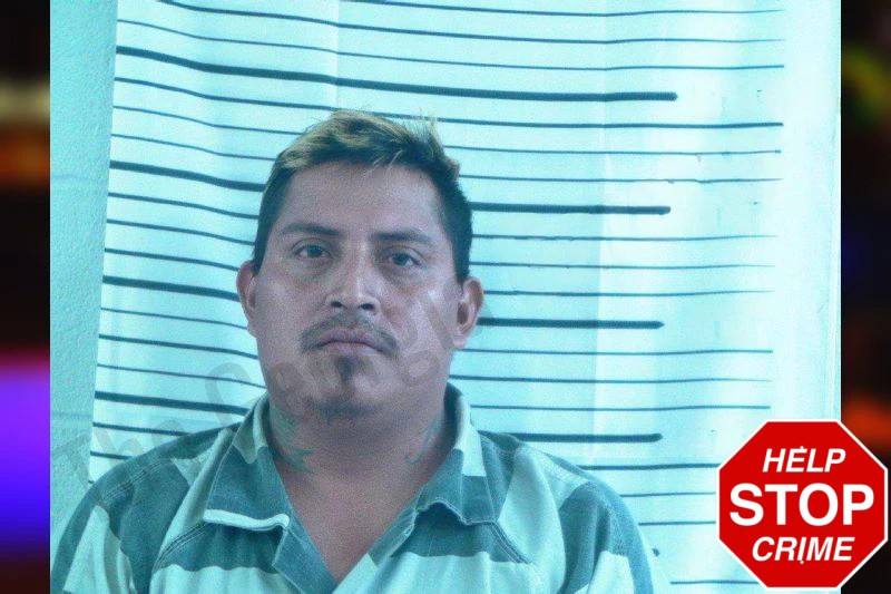 Juan Murino Mugshots