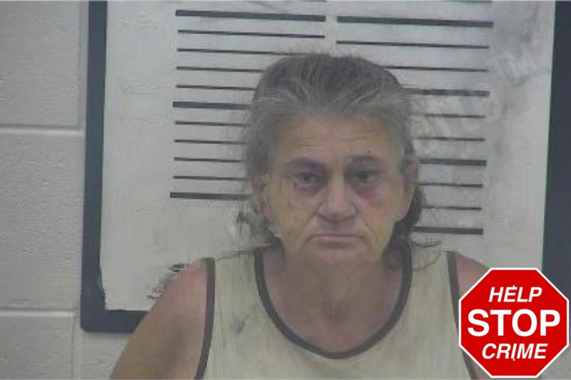 Julia Carithers Mugshots