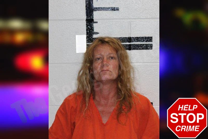 Julie Redfern mugshot – Murray County , Georgia Julie Redfern mugshot
