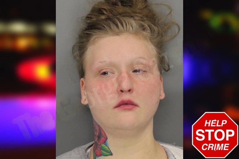 Kaitlyn Kuzel Mugshots