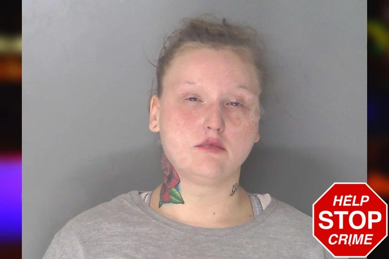 Kaitlynn Kuzel mugshot – Douglas County , Georgia Kaitlynn Kuzel mugshot