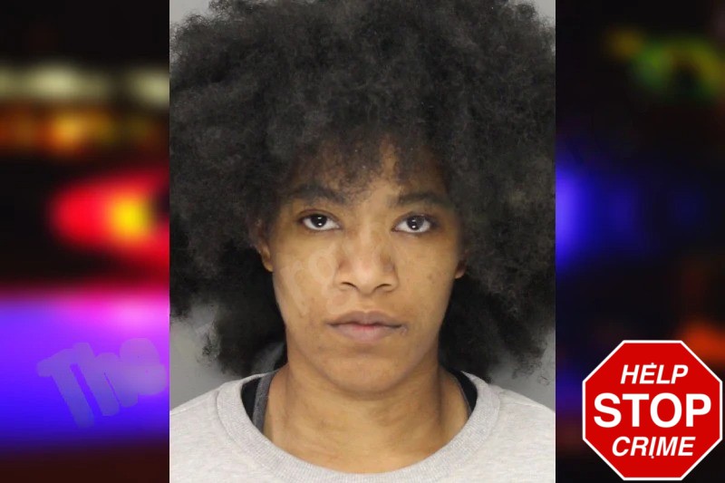 Kalee Mills Mugshots