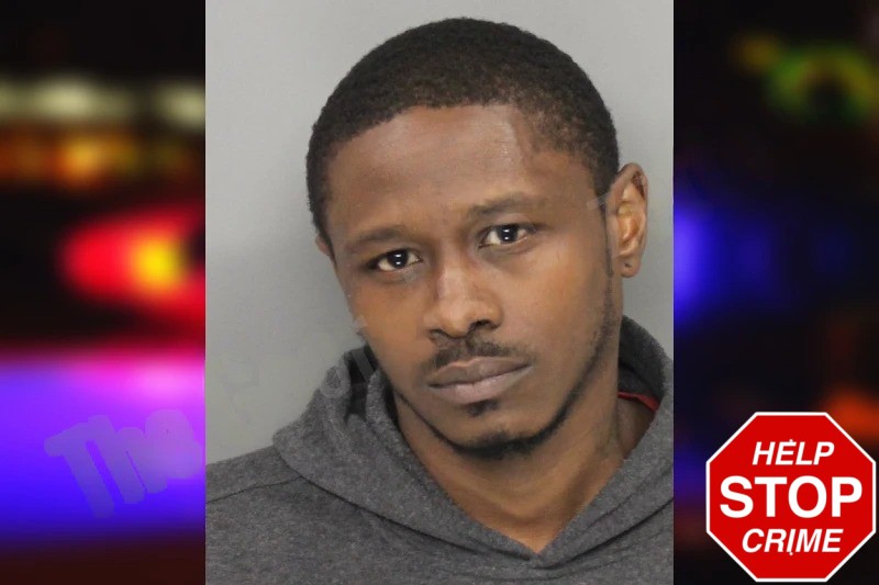 Kamaree Gray mugshot – Cobb County , Georgia Kamaree Gray mugshot