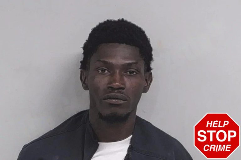 Kamerian Taylor mugshot – Lowndes County , Georgia Kamerian Taylor