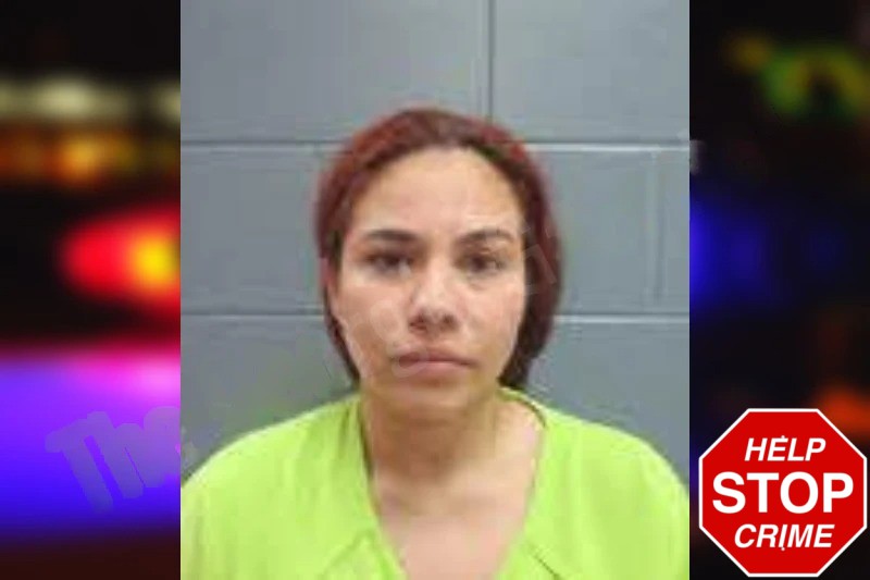 Karen Julieth Gomez Mugshots