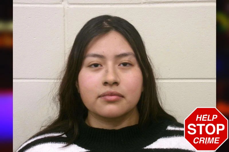 Karen Velasco Mugshots