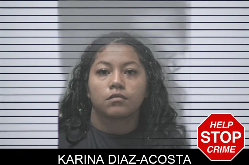 Karina Diaz-Acosta Mugshots