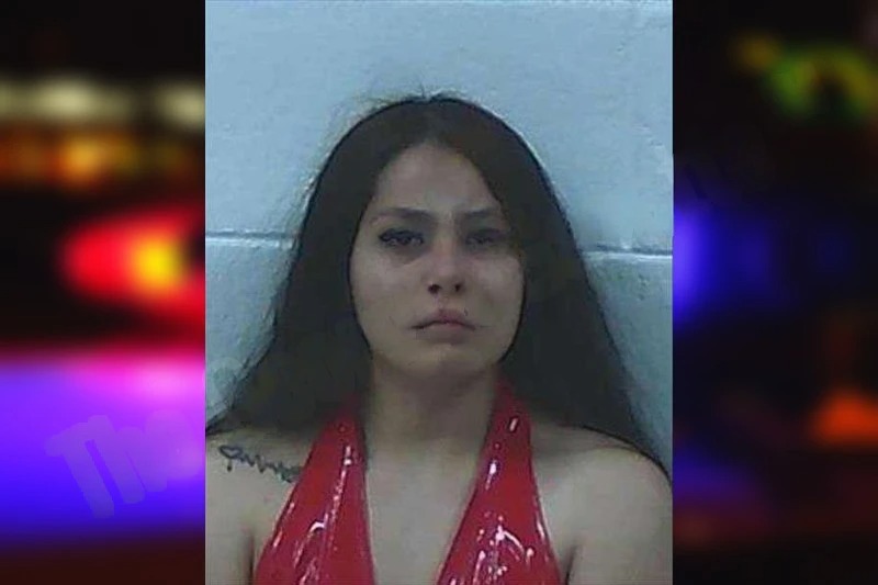 Karina Rodriguez Mugshots