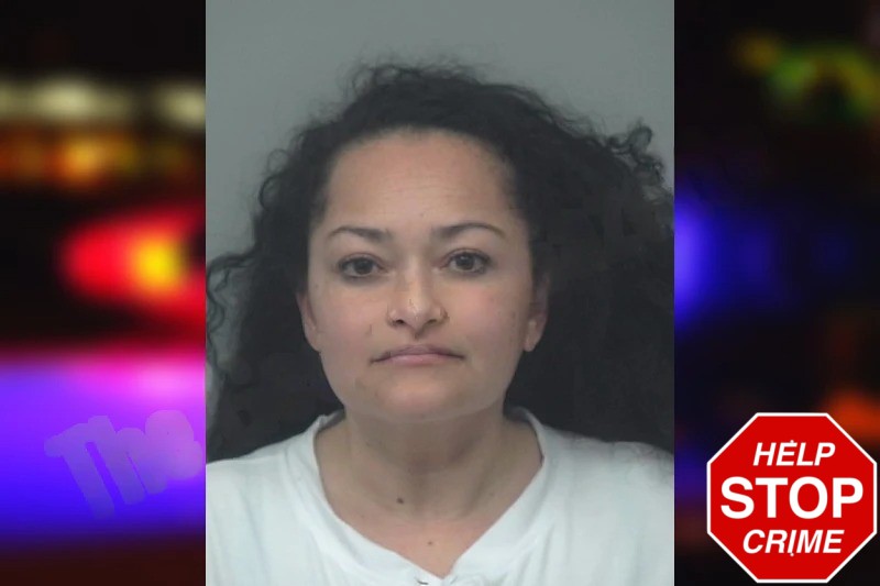 Karla Morales Villafuerte mugshot – Gwinnett County , Georgia Karla Morales Villafuerte mugshot