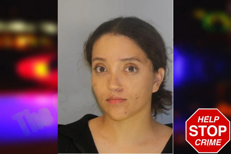 Karla Nunez Melendez Mugshots